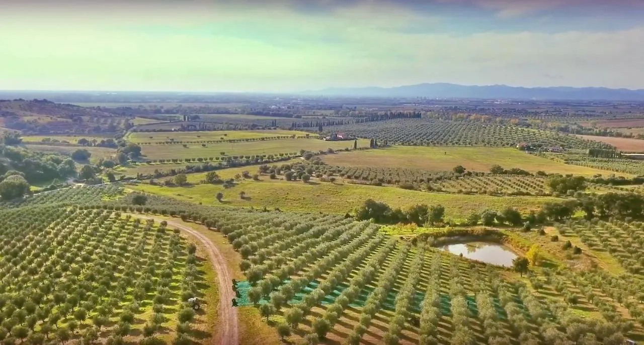 Farm stay Agriturismo La Fonte Grosseto